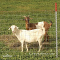 Recinzione da campo rivestito in PVC a caldo